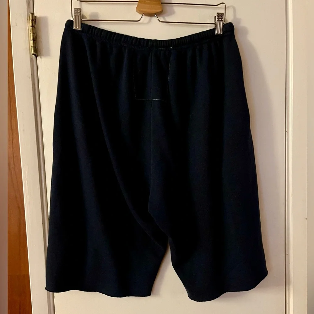 Aviator Nation Venice Shorts - Picture 3 of 4